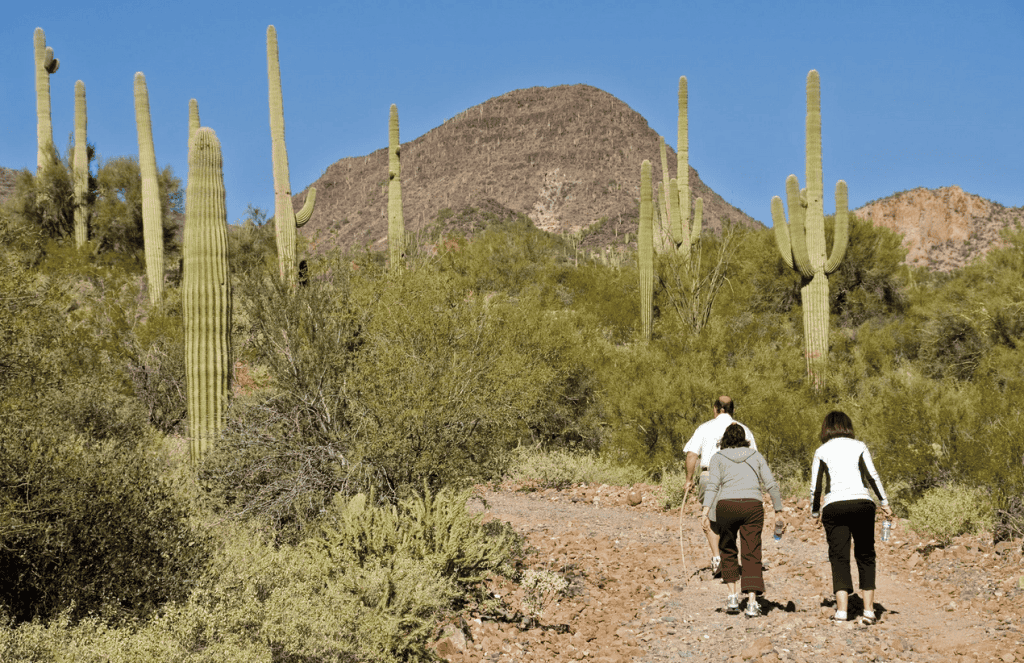 hikers on a trail in Arizona with a mountain in the background